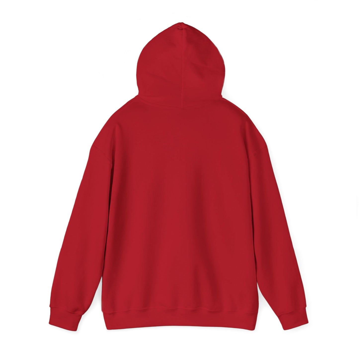 Inspirational Hooded Sweatshirt - The Joy of the Lord Is My Strength