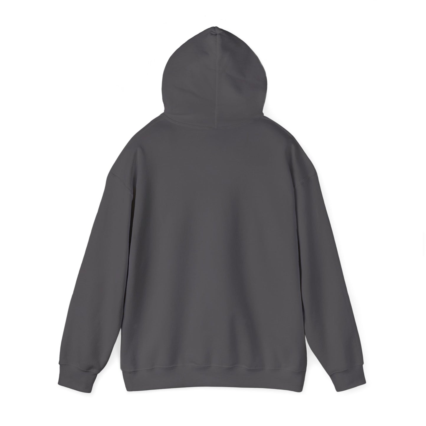 Inspirational Hooded Sweatshirt - The Joy of the Lord Is My Strength
