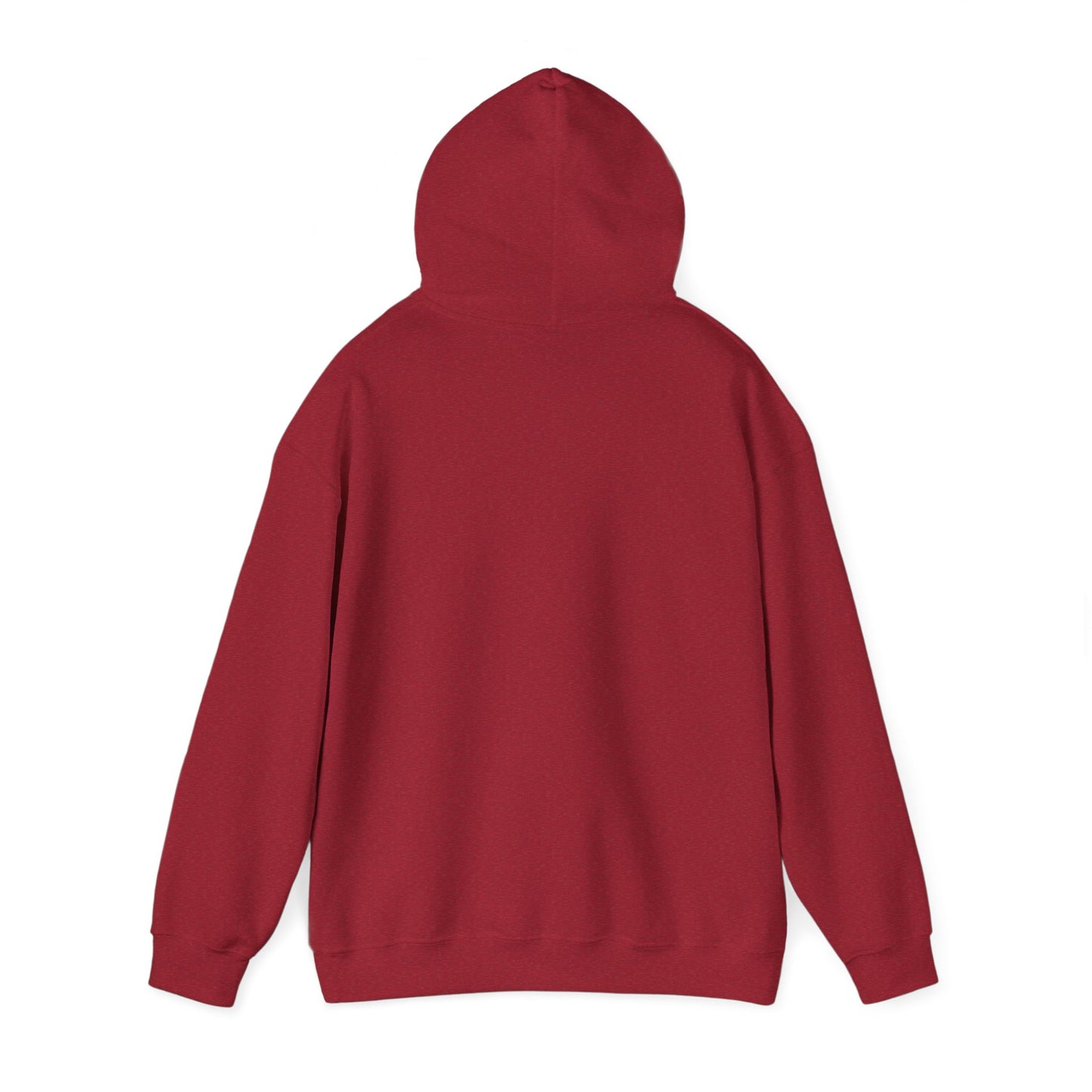Inspirational Hooded Sweatshirt - The Joy of the Lord Is My Strength