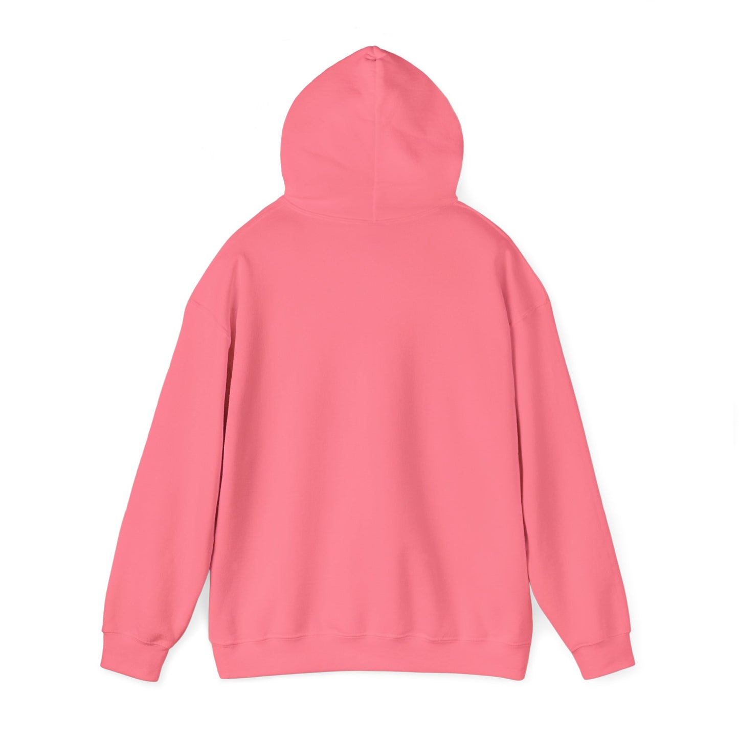 Inspirational Hooded Sweatshirt - The Joy of the Lord Is My Strength