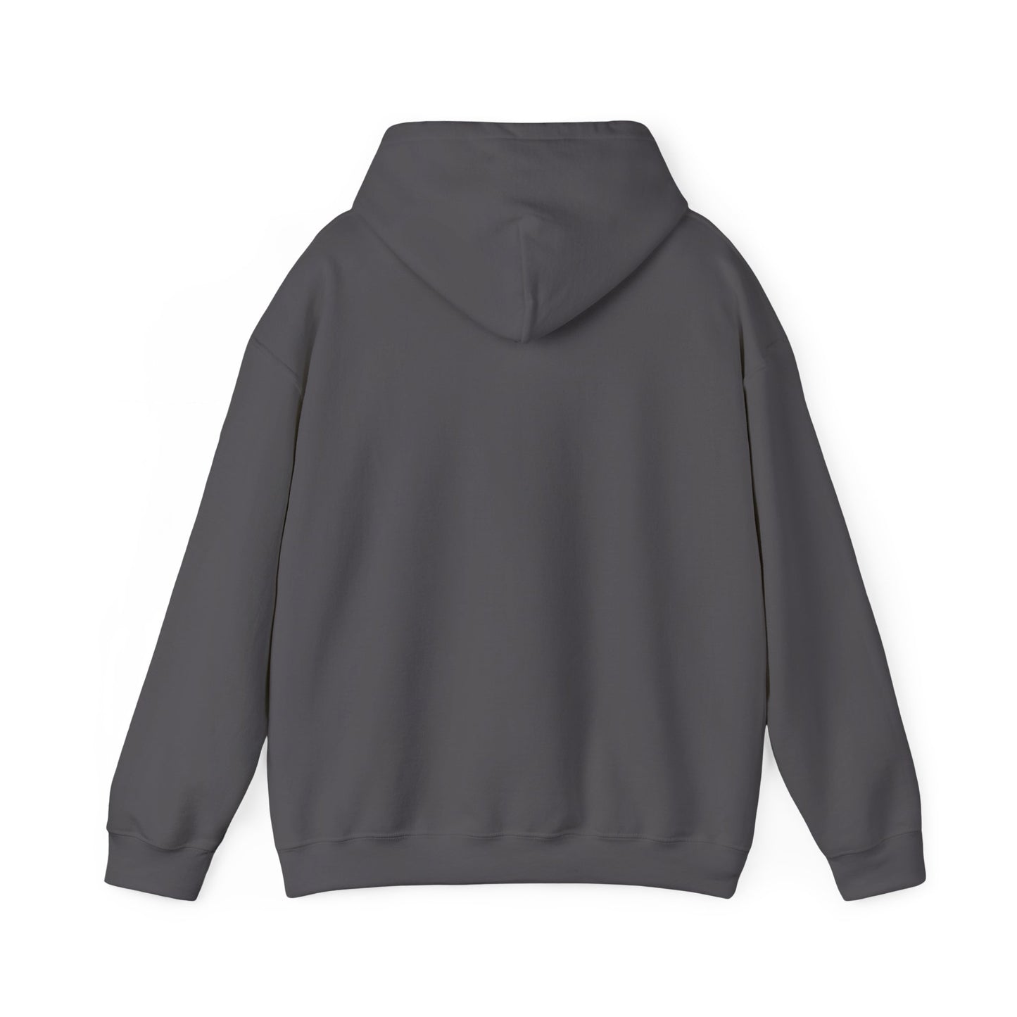 Inspirational Hooded Sweatshirt - The Joy of the Lord Is My Strength
