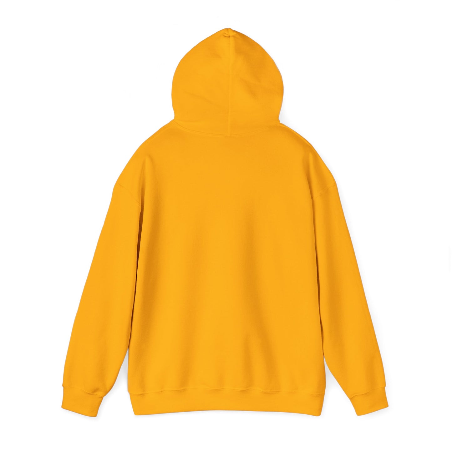 Inspirational Hooded Sweatshirt - The Joy of the Lord Is My Strength