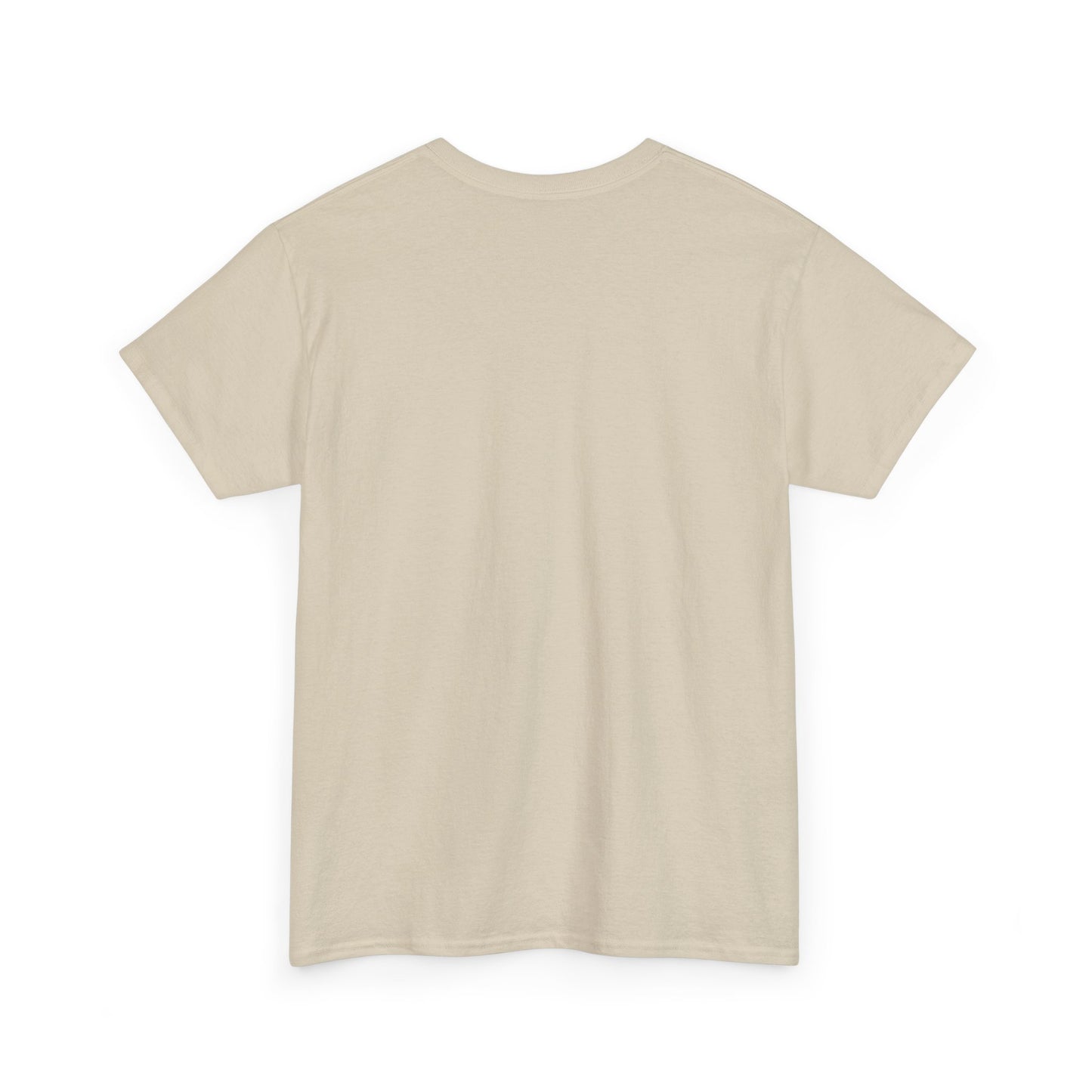 Manifesting Millions T-Shirt