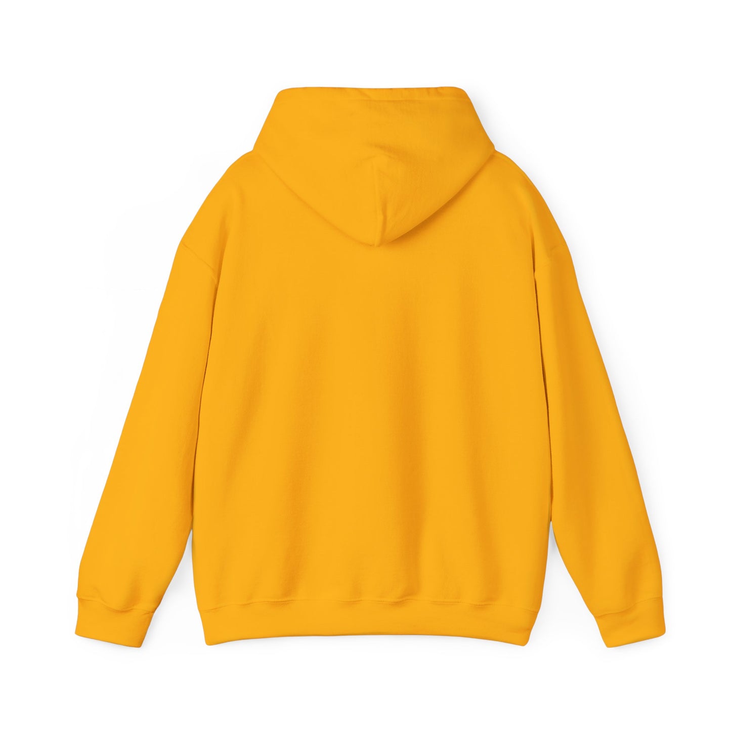 Inspirational Hooded Sweatshirt - The Joy of the Lord Is My Strength