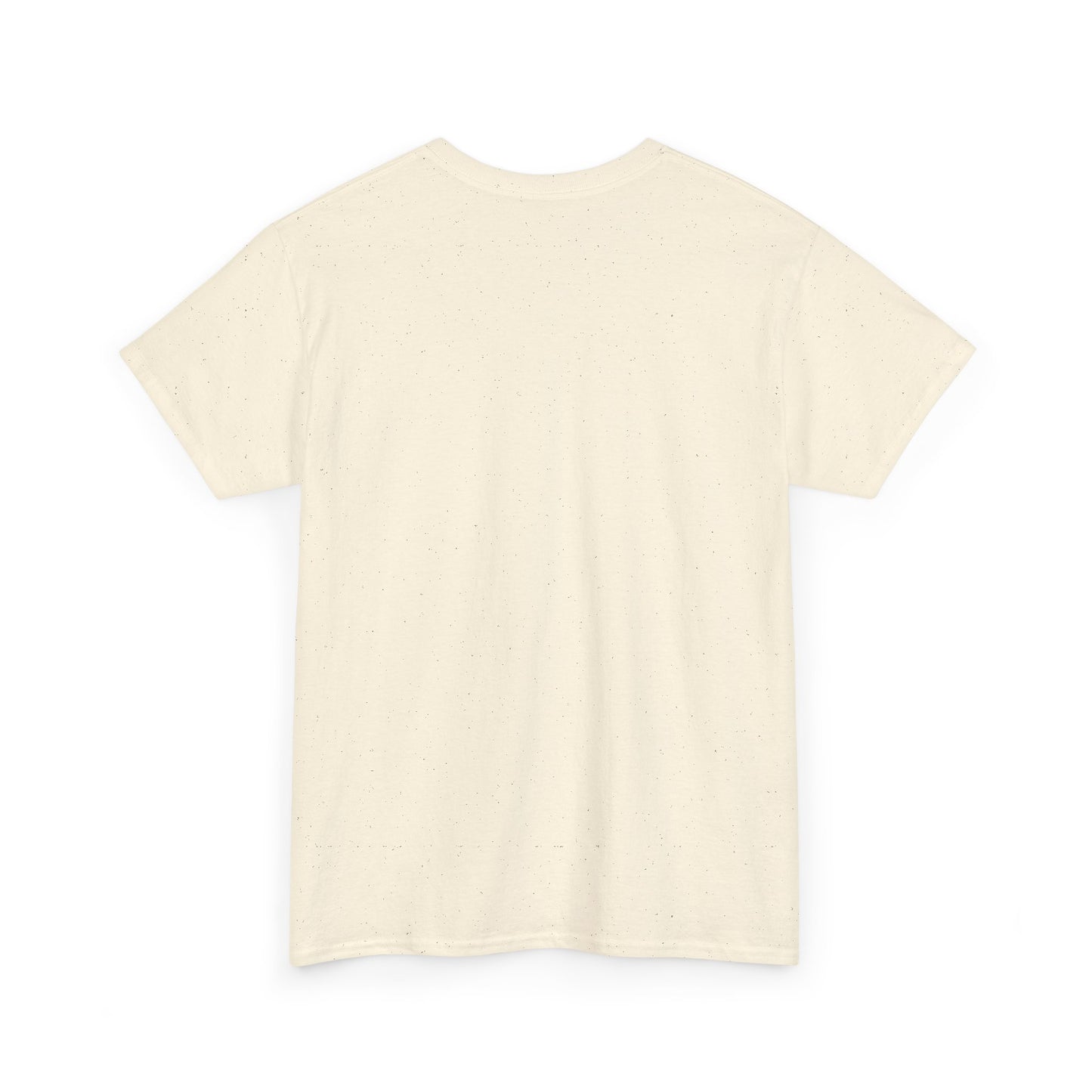 Manifesting Millions T-Shirt