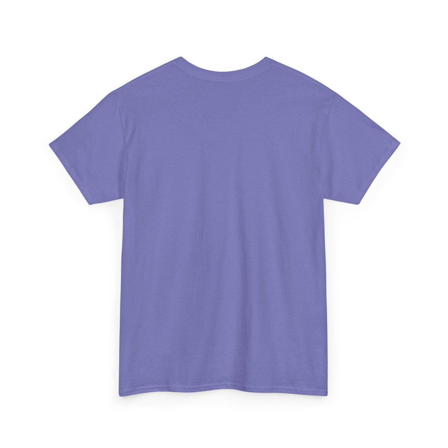 Manifesting Millions T-Shirt