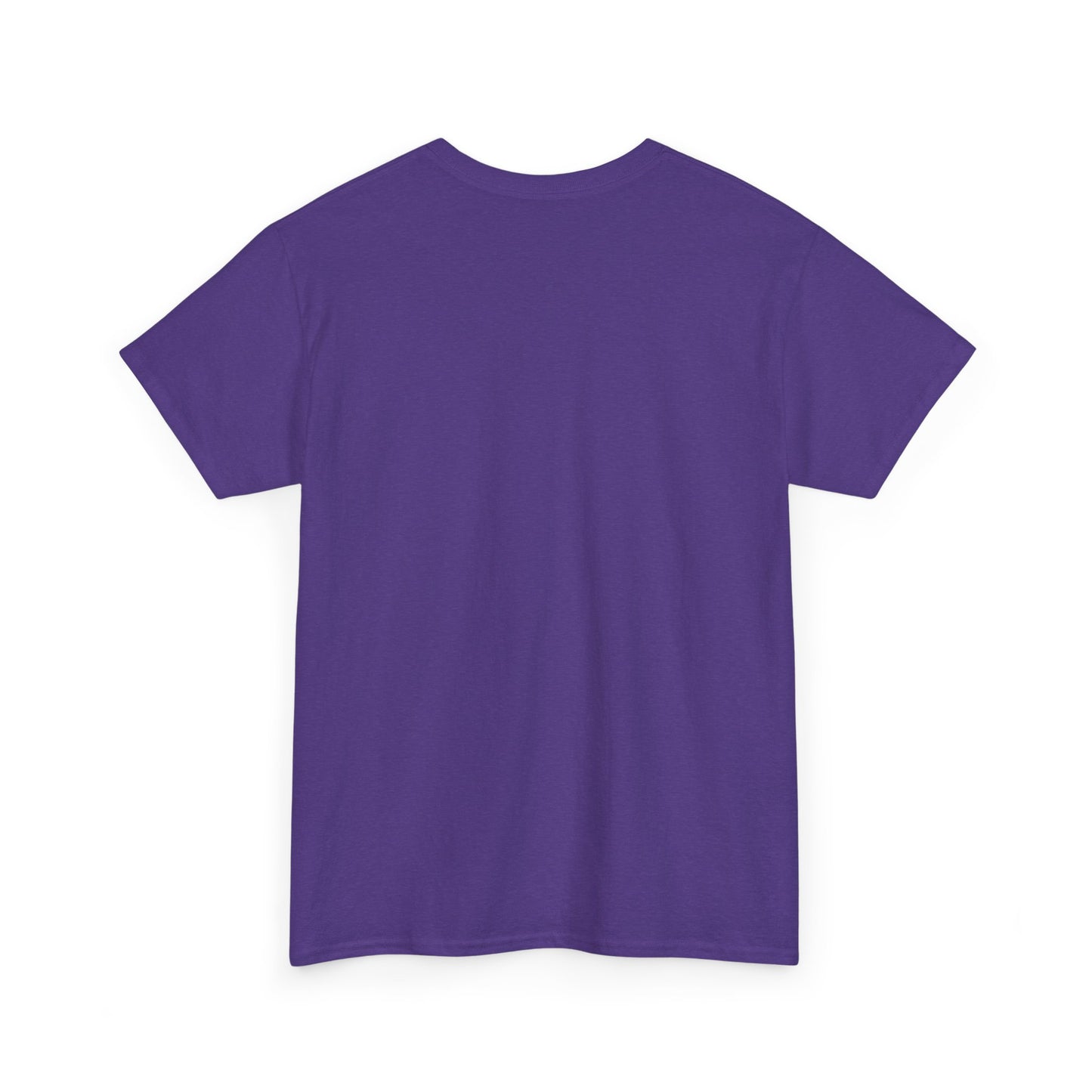 Manifesting Millions T-Shirt