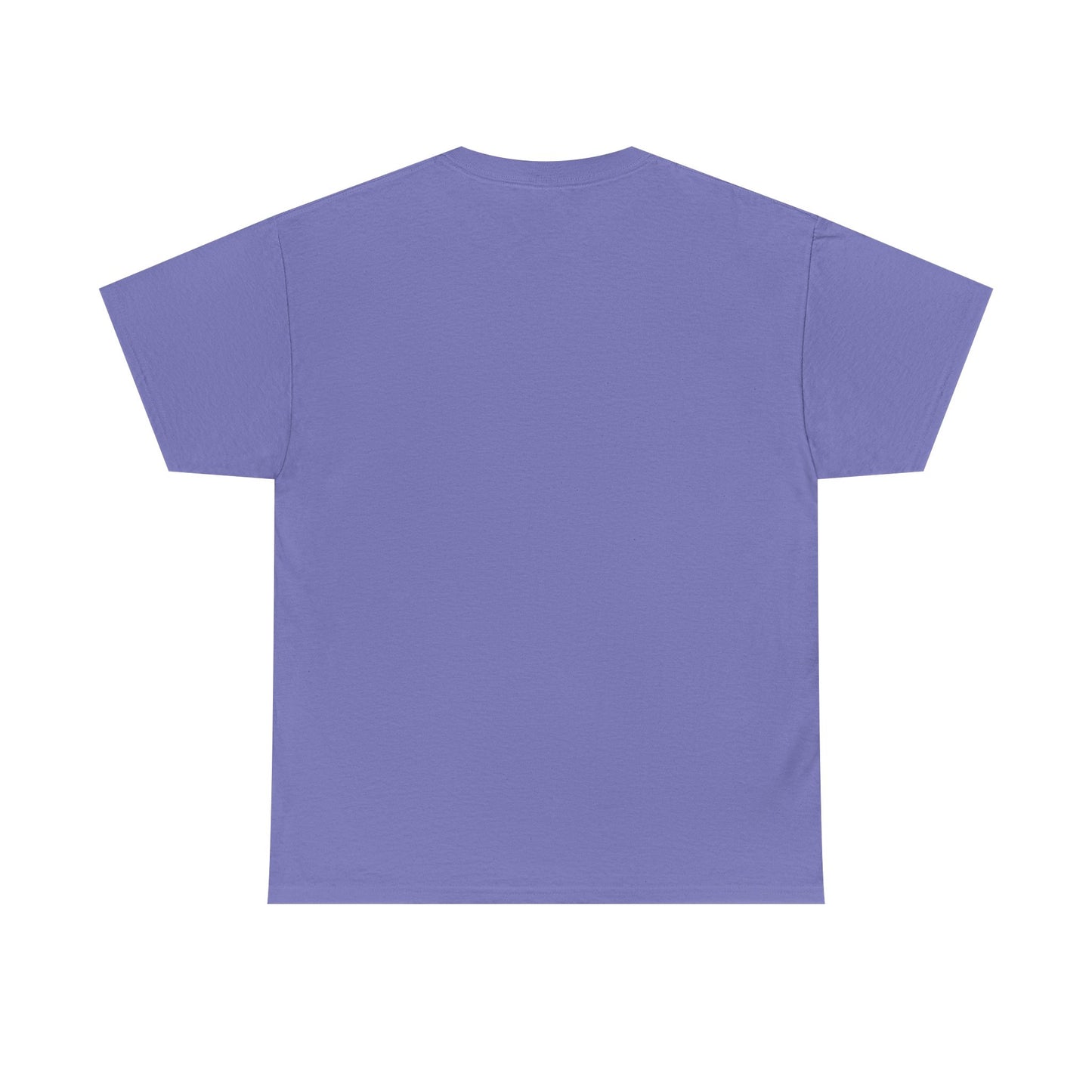 Manifesting Millions T-Shirt