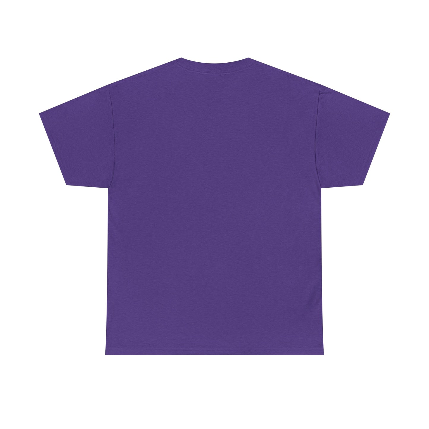 Manifesting Millions T-Shirt