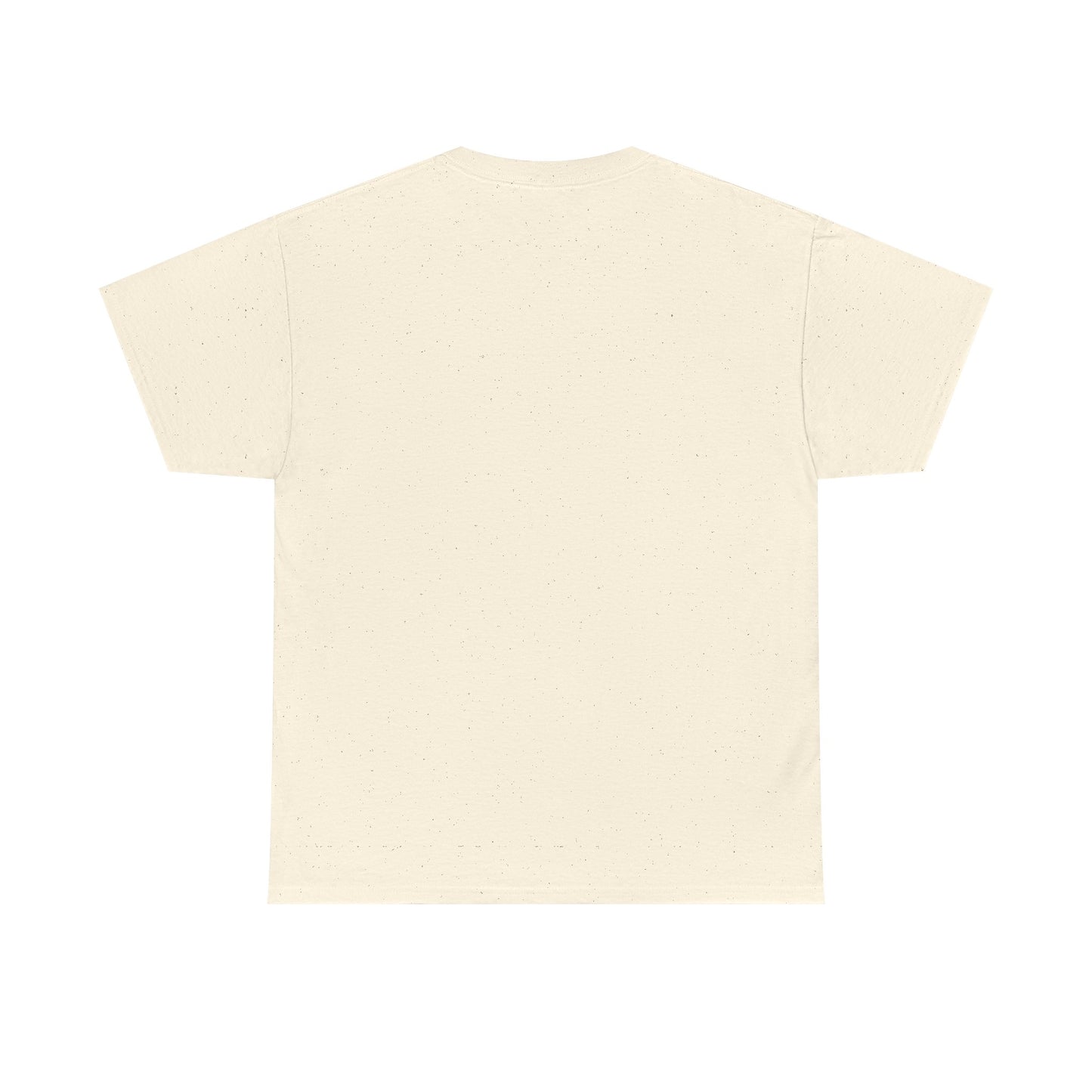 Manifesting Millions T-Shirt