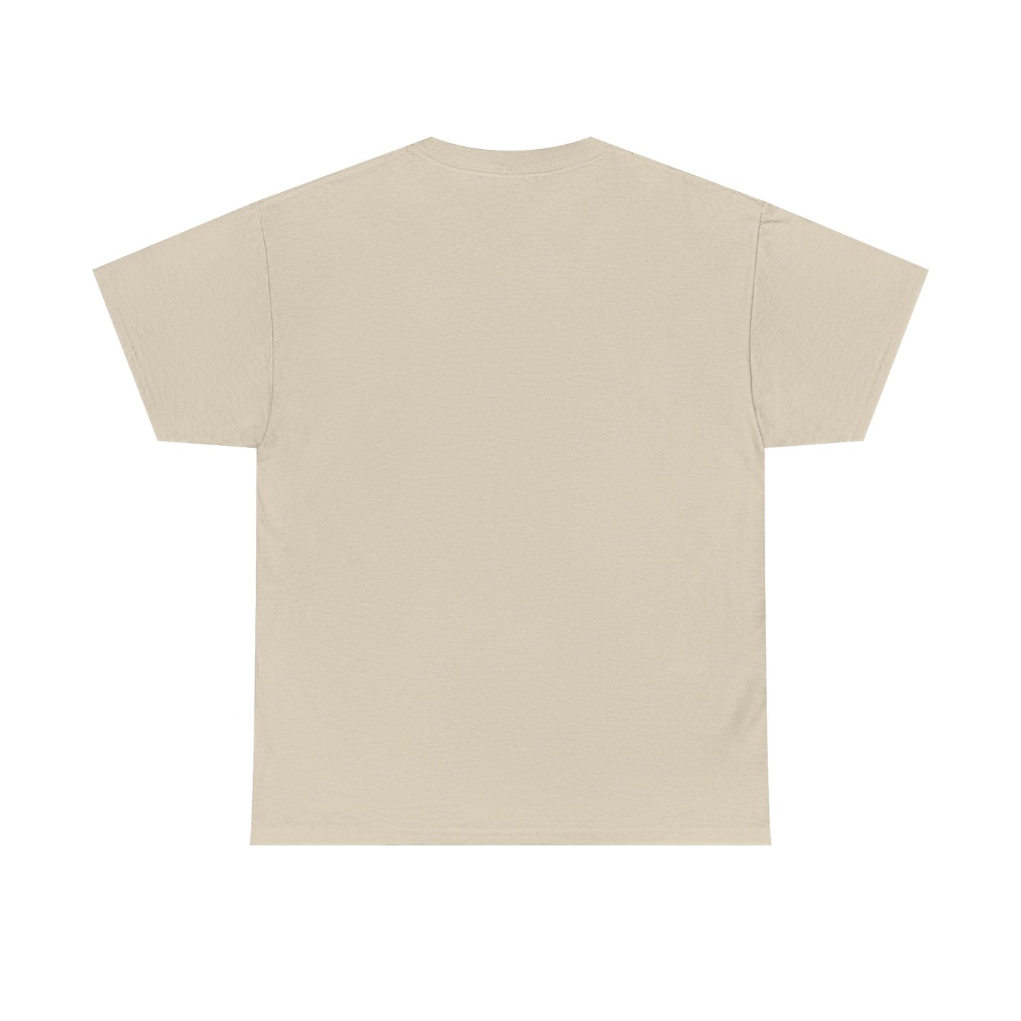 Manifesting Millions T-Shirt